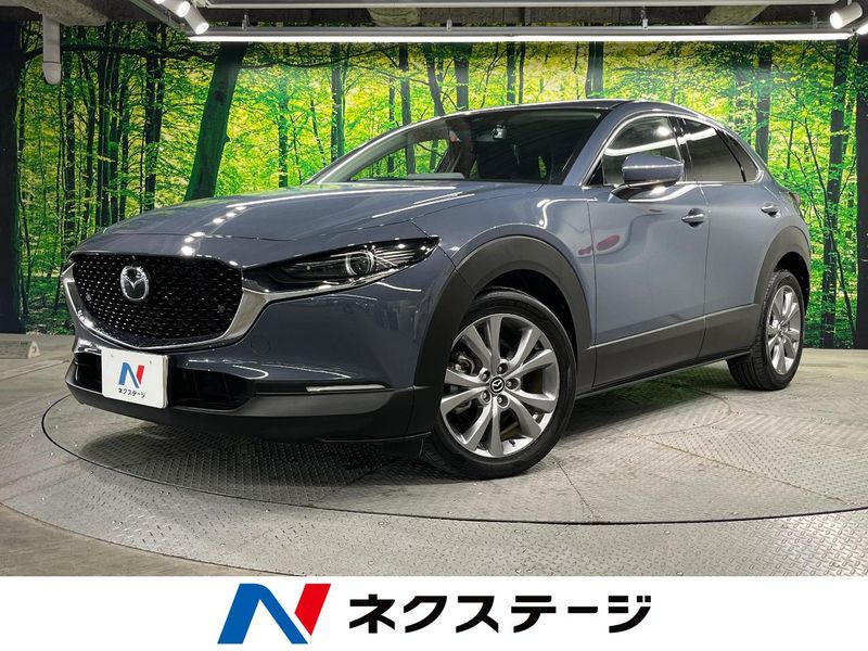 2019 Mazda CX-30 3DA-DM8P (UW-6a9792ef64aa4)[3]
