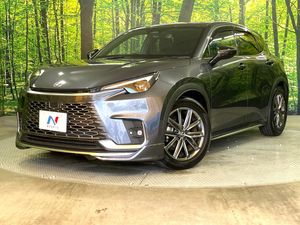 2024 Lexus LBX 6AA-MAYH10