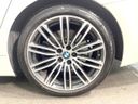 2019 BMW 5 Series ABA-JT20 (UW-6a9796103f633)[7]