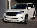 2022 Toyota Land Cruiser Prado 3BA-TRJ150W