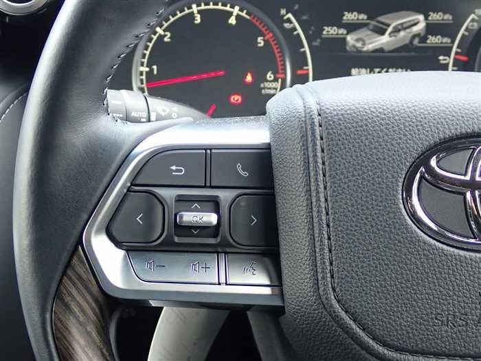 2023 Toyota Land Cruiser 3DA-FJA300W (UW-6a98d8af79673)[20]