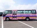 2013 Hino Liesse II SDG-XZB50M (UW-6a98d8e793123)[1]