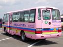 2013 Hino Liesse II SDG-XZB50M (UW-6a98d8e793123)[2]