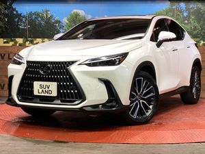 2023 Lexus NX 5BA-AAZA20