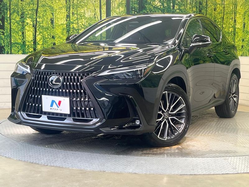 2022 Lexus NX 6AA-AAZH20 (UW-6a98e3a0b2396)[0]