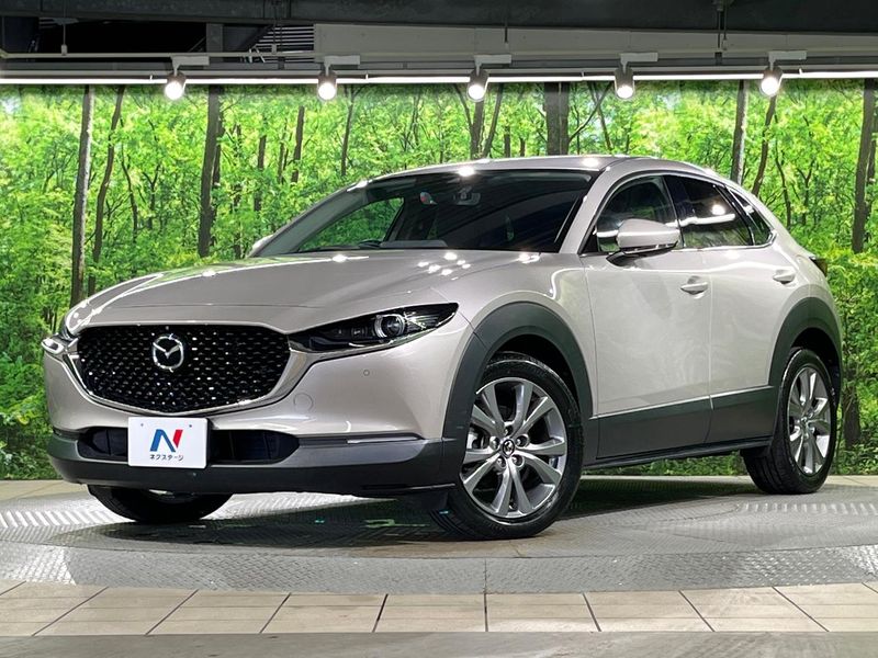 2022 Mazda CX-30 3DA-DM8P (UW-6a98e460cb8f1)[0]