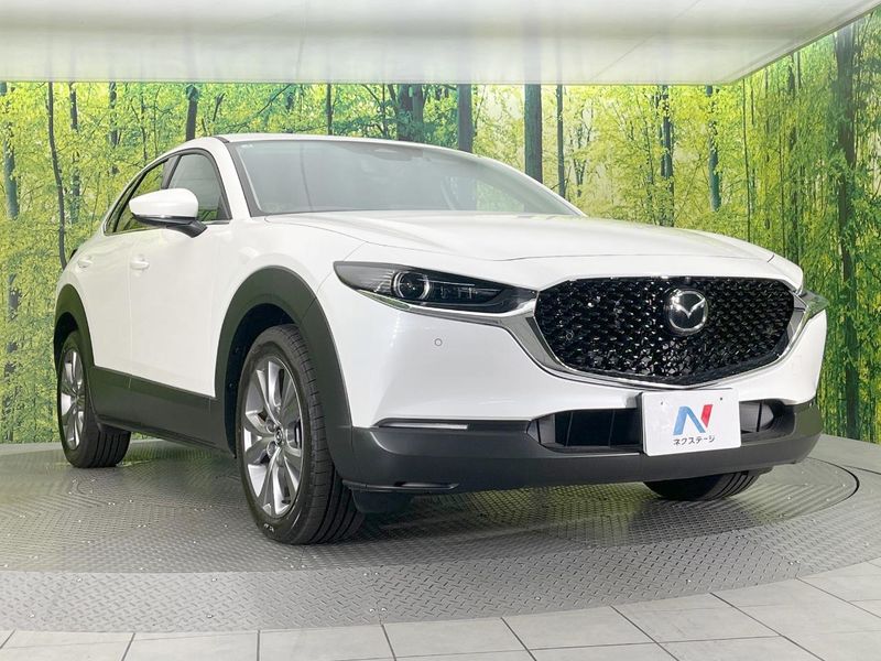 2025 Mazda CX-30 5AA-DMEJ3R (UW-6a98e46223f5f)[19]