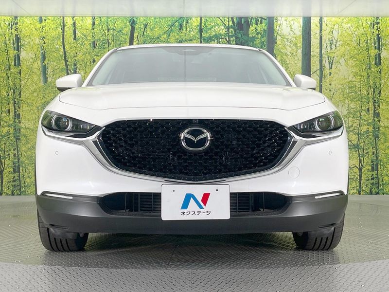 2025 Mazda CX-30 5AA-DMEJ3R (UW-6a98e46223f5f)[18]