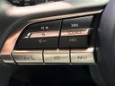 2023 Mazda MX-30 5AA-DREJ3P (UW-6a98e466c76d8)[28]