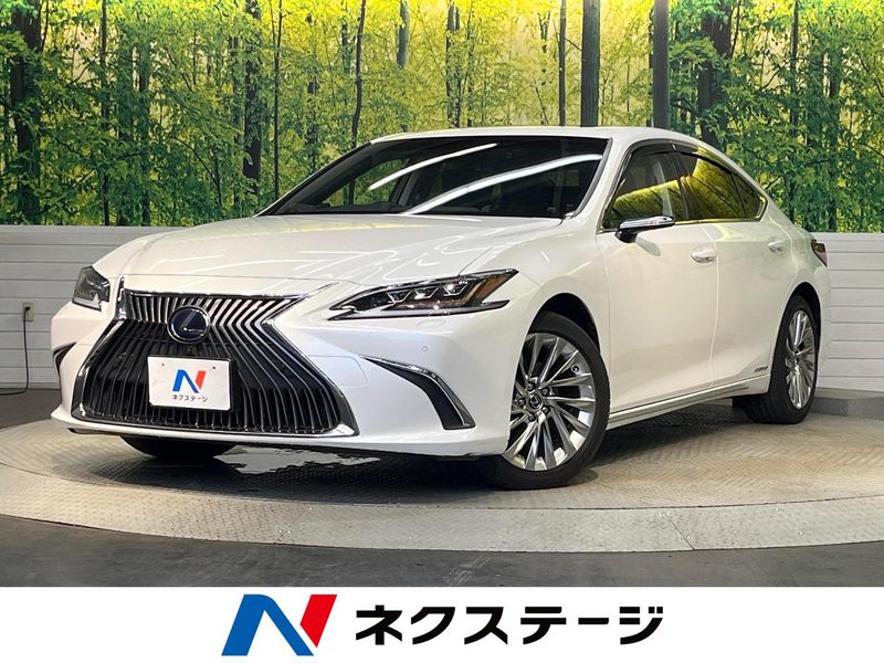 2019 Lexus ES 6AA-AXZH10 (UW-6a9a357e51daa)[3]