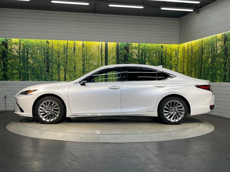 2019 Lexus ES 6AA-AXZH10 (UW-6a9a357e51daa)[5]