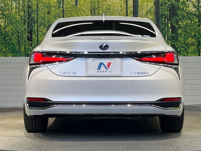 2019 Lexus ES 6AA-AXZH10 (UW-6a9a357e51daa)[7]