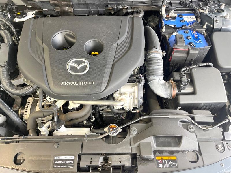 2020 Mazda Mazda2 3da-dj5fs (UW-6a9a35eb04a68)[5]