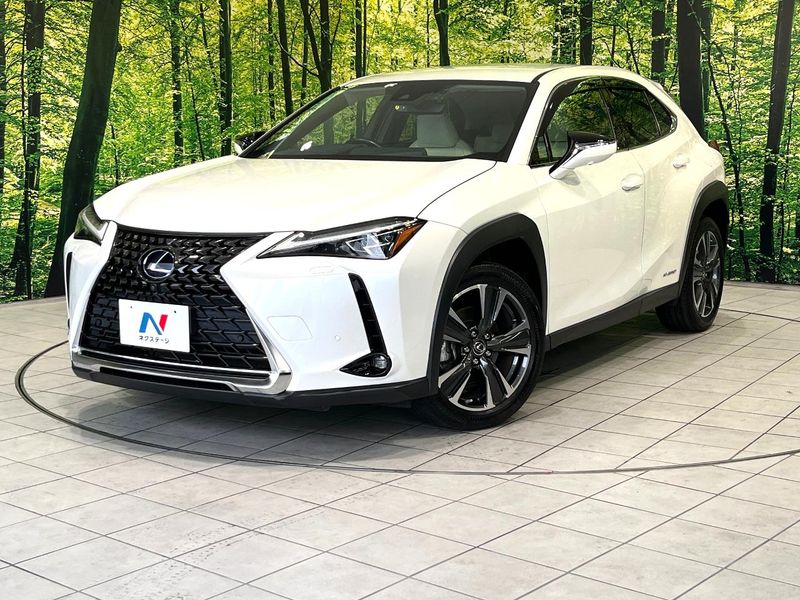 2019 Lexus UX 6AA-MZAH10 (UW-6a9a385a83585)[0]