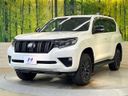 2023 Toyota Land Cruiser Prado 3BA-TRJ150W (UW-6a9a38f272ba5)[24]