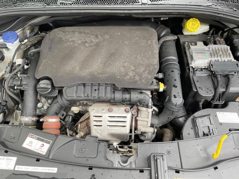 2019 Citroen C3 ABA-B6HN01 (UW-6a9a390734cb0)[4]