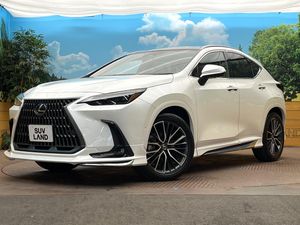 2024 Lexus NX 6AA-AAZH20