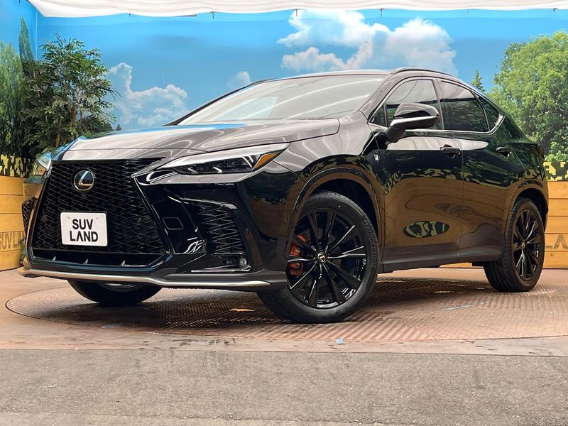 2025 Lexus NX 6AA-AAZH20 (UW-6a9b86a174c0b)[0]