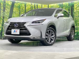 2015 Lexus NX DAA-AYZ15