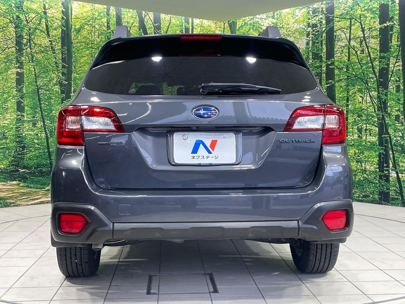 2018 Subaru Legacy Outback DBA-BS9 (UW-6a9b8748b6a4f)[20]