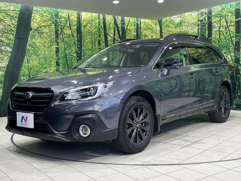 2018 Subaru Legacy Outback DBA-BS9 (UW-6a9b8748b6a4f)[17]