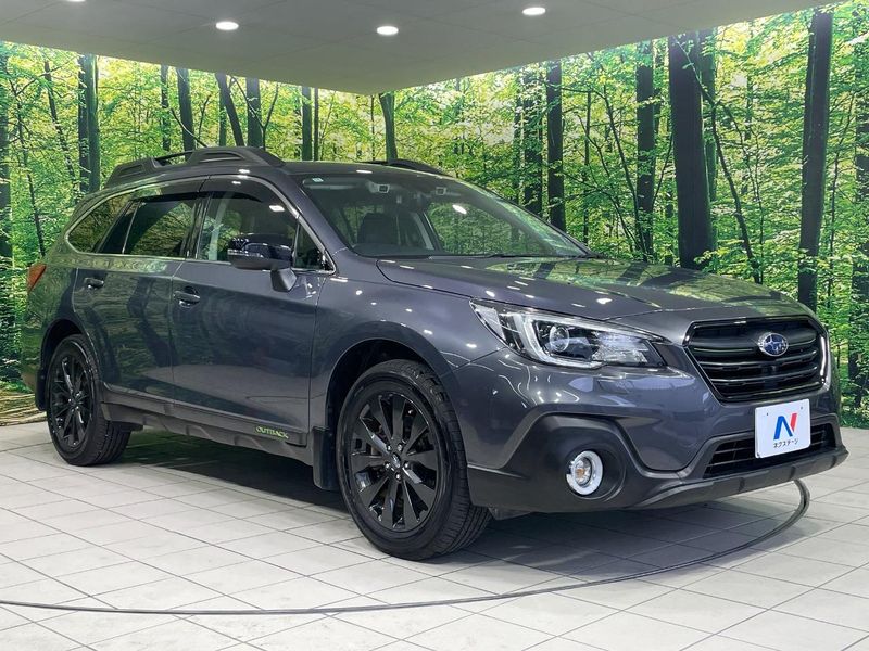 2018 Subaru Legacy Outback DBA-BS9 (UW-6a9b8748b6a4f)[23]