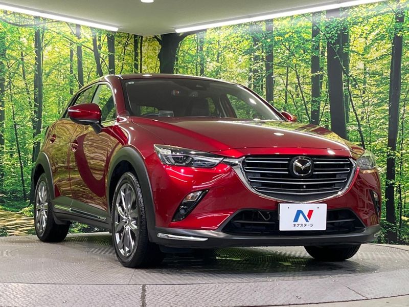2018 Mazda CX-3 3DA-DK8FW (UW-6a9b8764b5d50)[10]