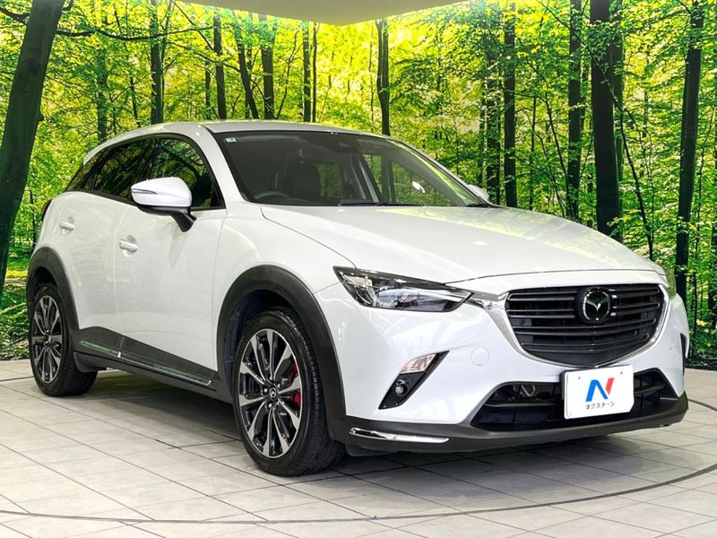 2019 Mazda CX-3 3DA-DK8FW (UW-6a9b8764d35ed)[19]
