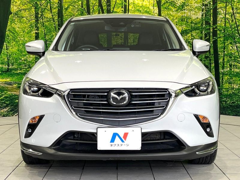 2019 Mazda CX-3 3DA-DK8FW (UW-6a9b8764d35ed)[18]