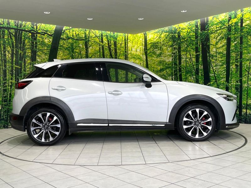 2019 Mazda CX-3 3DA-DK8FW (UW-6a9b8764d35ed)[20]