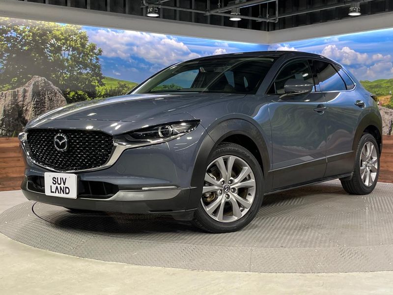 2019 Mazda CX-30 5BA-DMEP (UW-6a9b876860331)[0]