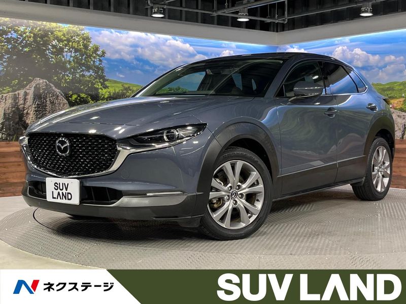 2019 Mazda CX-30 5BA-DMEP (UW-6a9b876860331)[3]