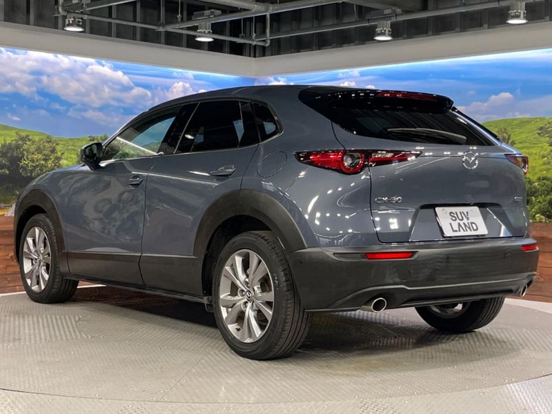 2019 Mazda CX-30 5BA-DMEP (UW-6a9b876860331)[10]