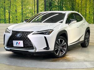 2021 Lexus UX 6AA-MZAH10