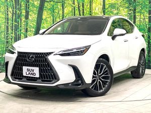 2024 Lexus NX 6AA-AAZH20