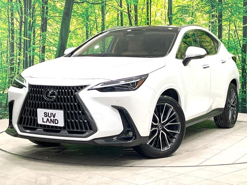 2024 Lexus NX 6AA-AAZH20 (UW-6a9cd81a214e1)[0]
