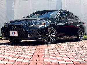 2019 Lexus ES 6AA-AXZH10