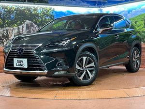 2019 Lexus NX DAA-AYZ10