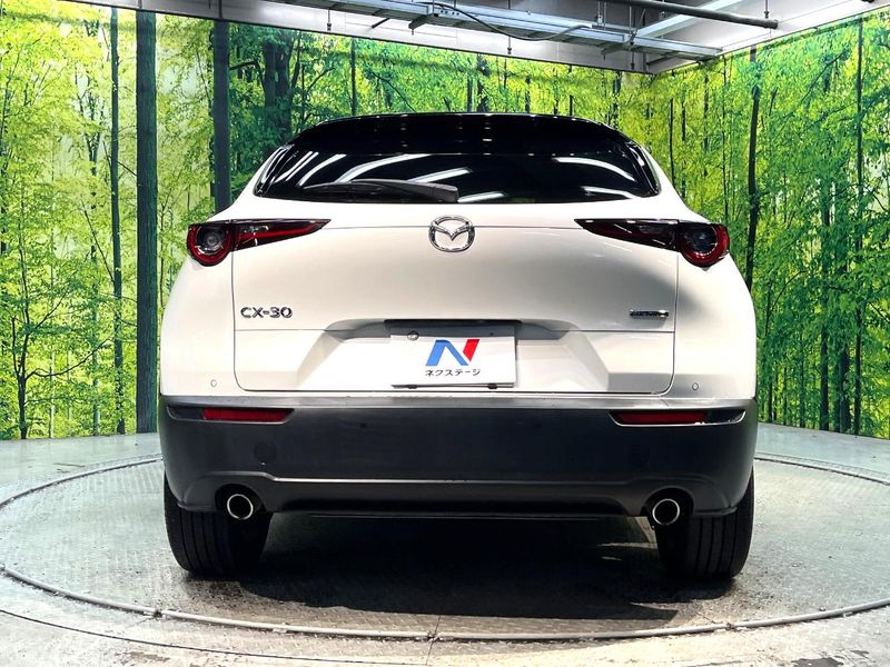 2019 Mazda CX-30 3DA-DM8P (UW-6a9cd8d4b8735)[9]