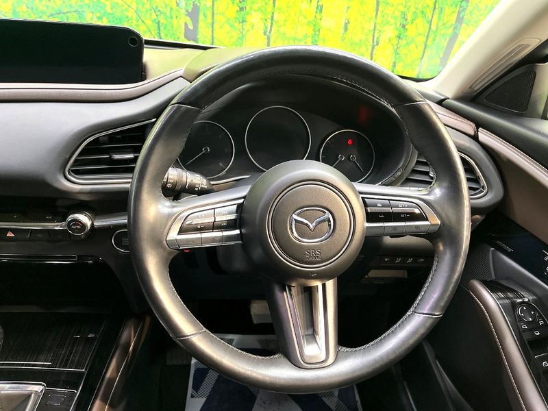 2019 Mazda CX-30 3DA-DM8P (UW-6a9cd8d4b8735)[17]
