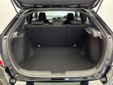 2017 Honda Civic DBA-FK7 (UW-6a9cd8f1b302b)[28]
