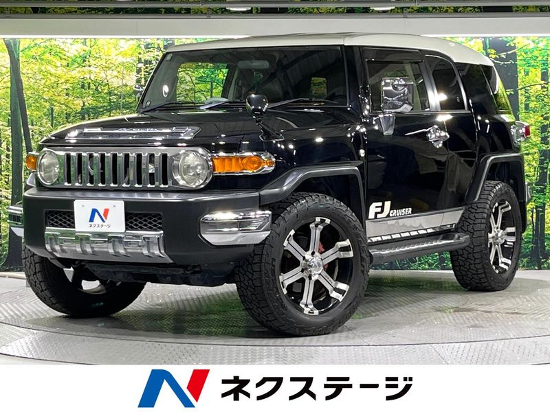 2013 Toyota FJ CRUISER CBA-GSJ15W (UW-6a9cd92e73e3d)[3]