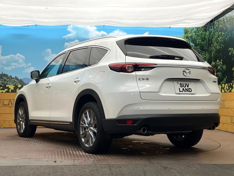 2021 Mazda CX-8 6BA-KG5P (UW-6a9cd9f7b1ace)[10]