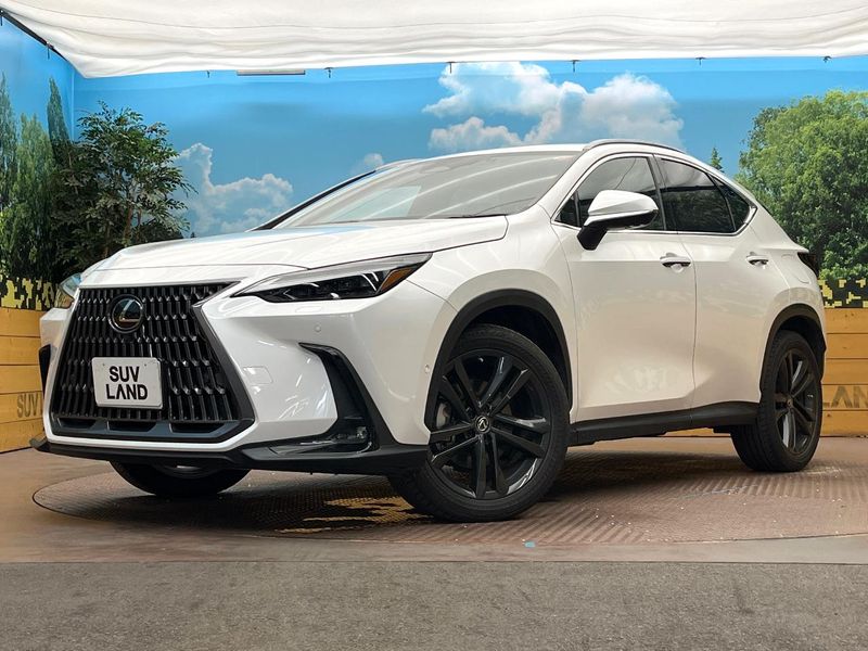 2022 Lexus NX 6AA-AAZH25 (UW-6a9e2992d2e5b)[0]