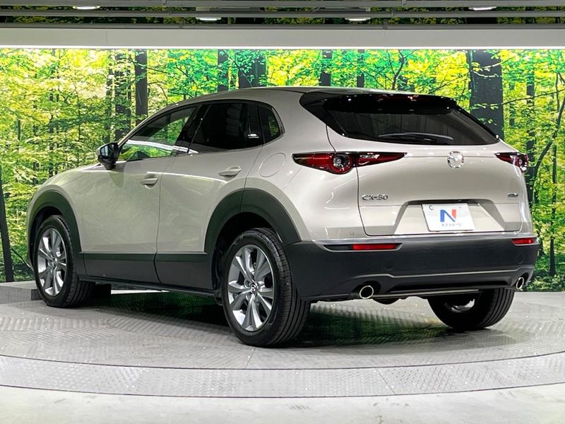 2024 Mazda CX-30 5AA-DMEJ3R (UW-6a9e2a4a6b8c3)[15]