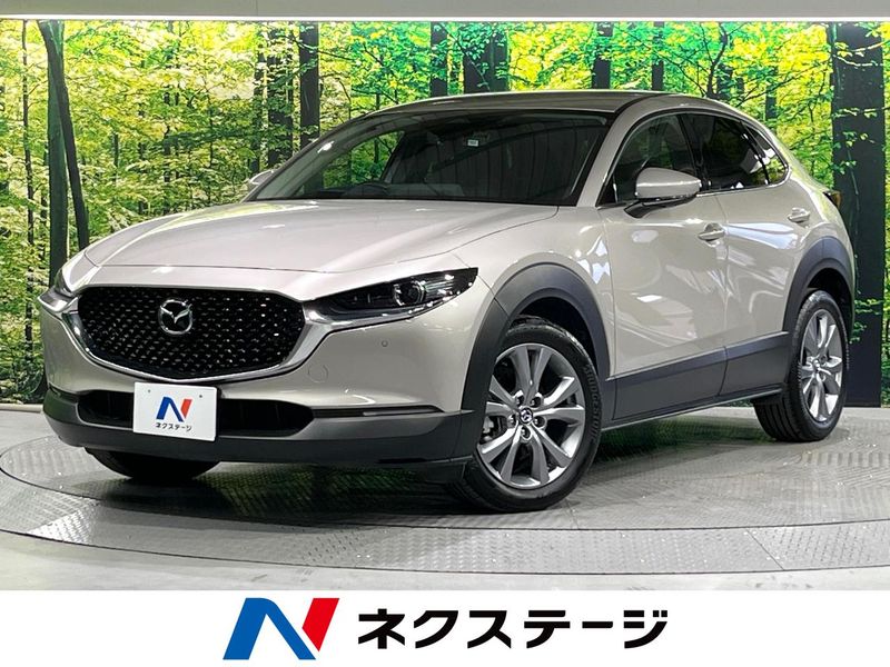 2024 Mazda CX-30 5AA-DMEJ3R (UW-6a9e2a4a6b8c3)[3]