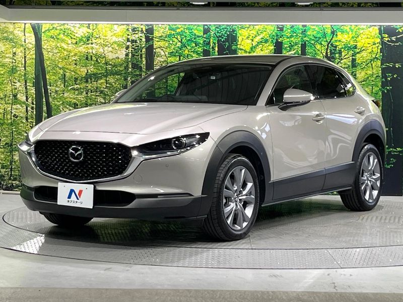 2024 Mazda CX-30 5AA-DMEJ3R (UW-6a9e2a4a6b8c3)[9]