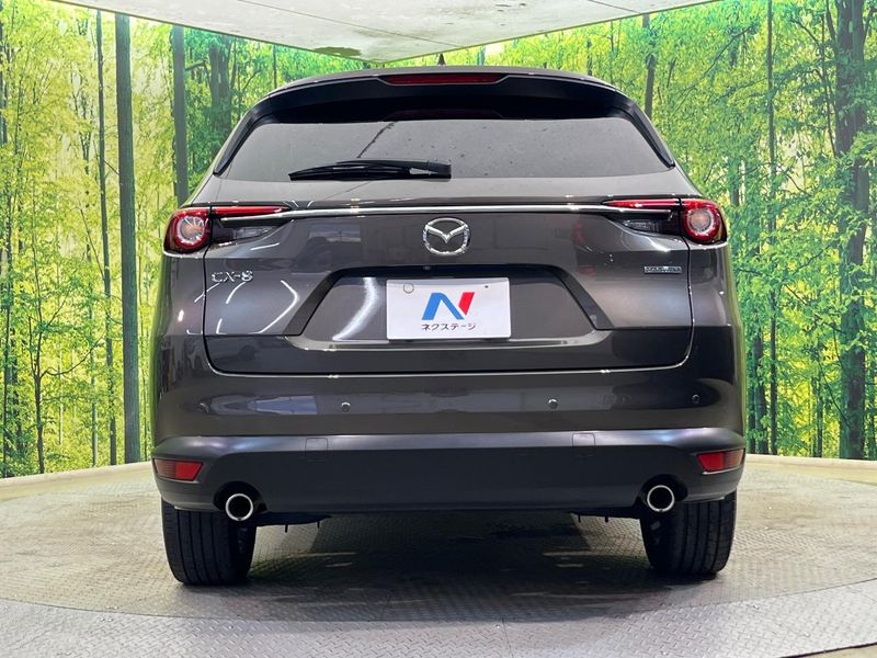 2020 Mazda CX-8 3da-kg2p (UW-6a9e2b5a13cf9)[16]