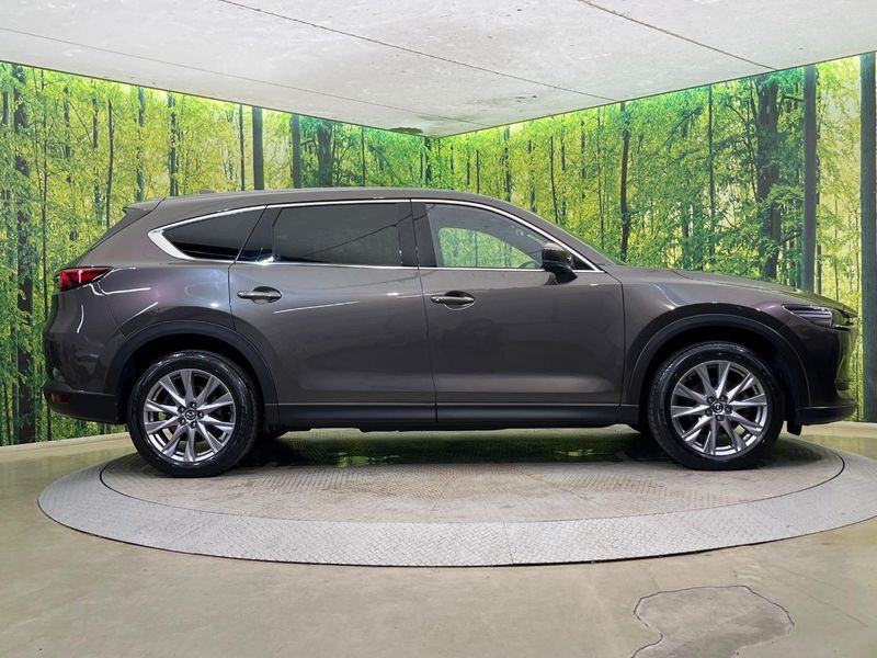 2020 Mazda CX-8 3da-kg2p (UW-6a9e2b5a13cf9)[18]