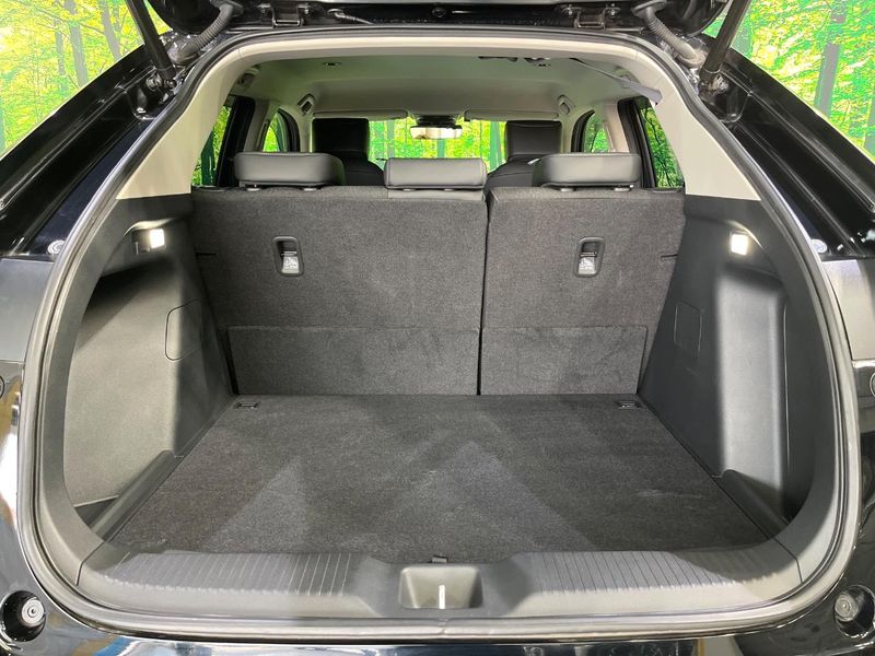2024 Honda Vezel 6AA-RV6 (UW-6a9e2cf9abe65)[10]